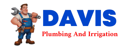 Trusted plumber in SEGUIN